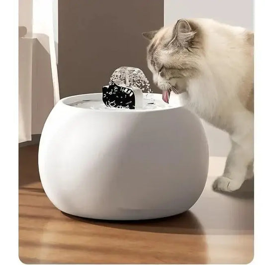Fontaine à Eau en Céramique pour Chat
