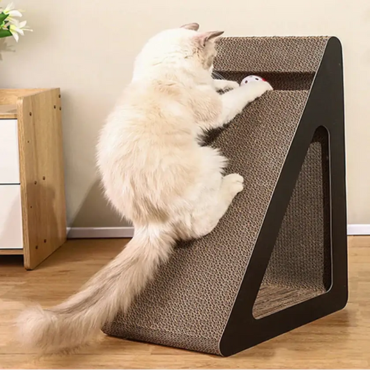 Griffoir Interactif 2 en 1 pour Chat