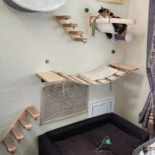 Mur d’Escalade pour Chat