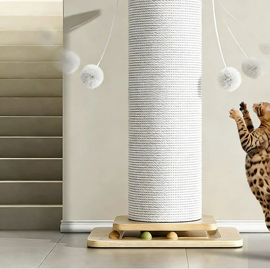 Griffoir pour Chat en Sisal
