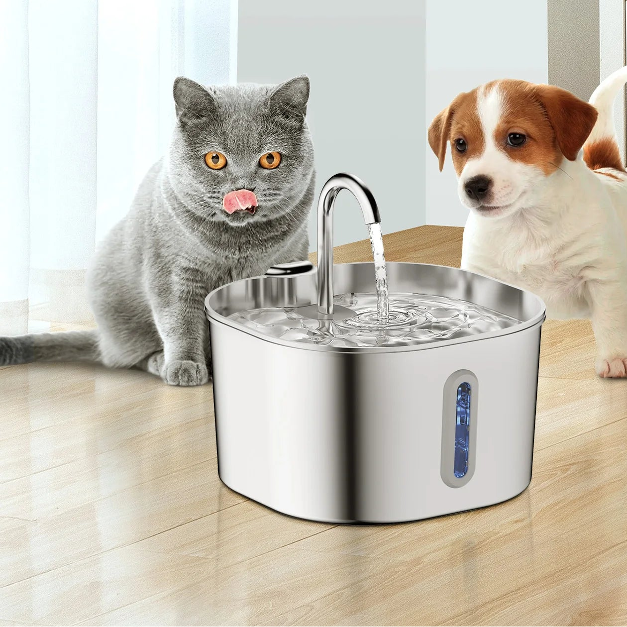 Fontaine à Eau pour Chat | Distributeur Eau Chat Automatique