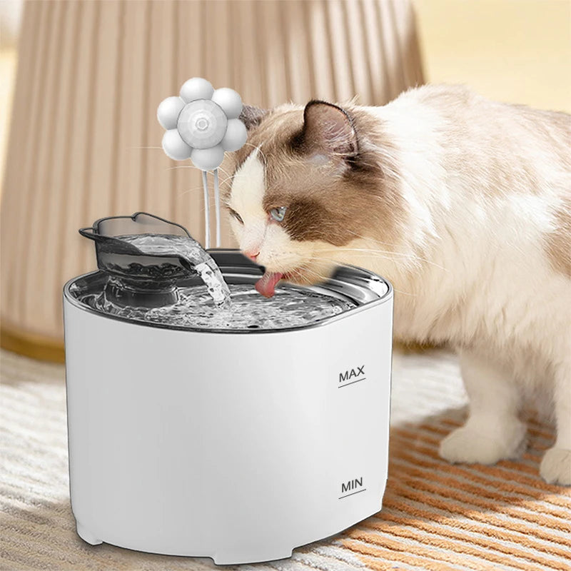 Fontaine à Eau pour Chat Automatique | Distributeur Eau Chat Silencieux