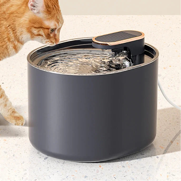 Fontaine à Eau Automatique pour Chat 3L