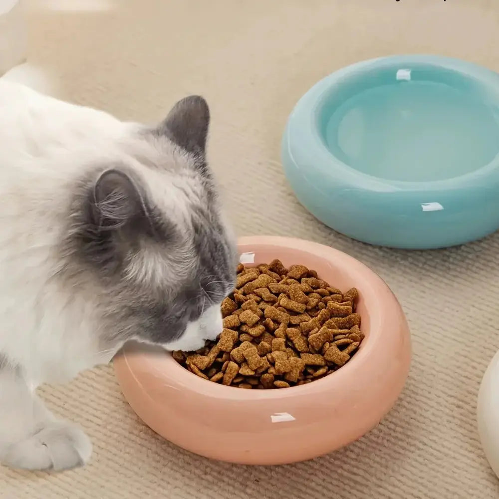 gamelle bleu rose jaune noir ou blanc anti renversement 